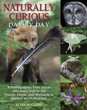 Naturally Curious Day by Day: A Photographic Field Guide and Daily Visit to the Forests, Fields, and Wetlands of Eastern North America image number 0