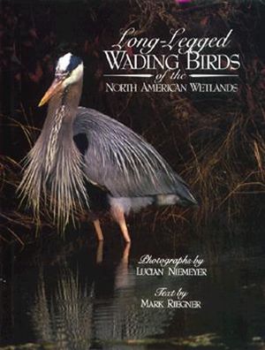 Long-Legged Wading Birds image number 0