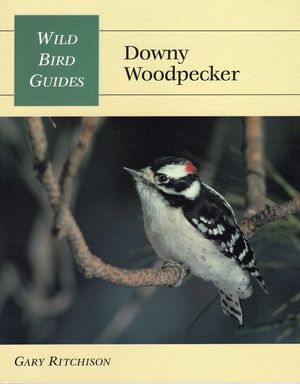 Wild Bird Guide: Downy Woodpecker image number 0