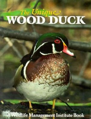 The Unique Wood Duck image number 0