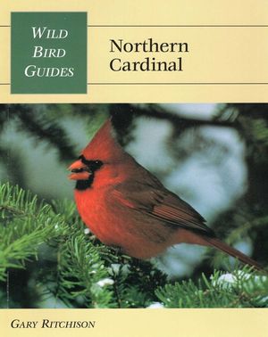 Wild Bird Guide: Northern Cardinal image number 0
