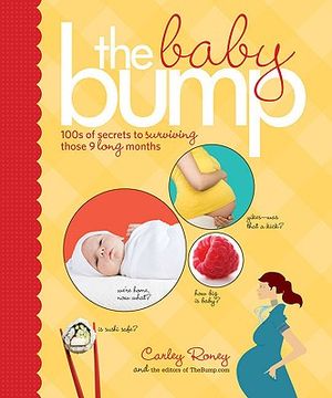 The Baby Bump: 100s of Secrets to Surviving Those 9 Long Months image number 0