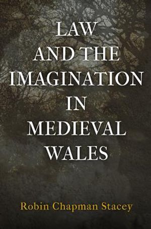 Law and the Imagination in Medieval Wales image number 0
