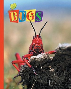 Bugs image number 0