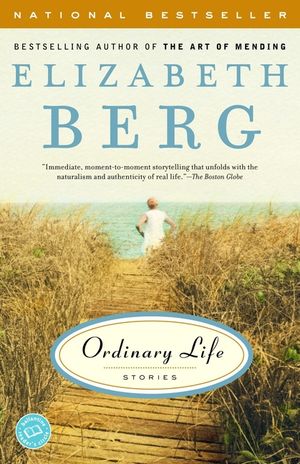 Ordinary Life: Stories image number 0