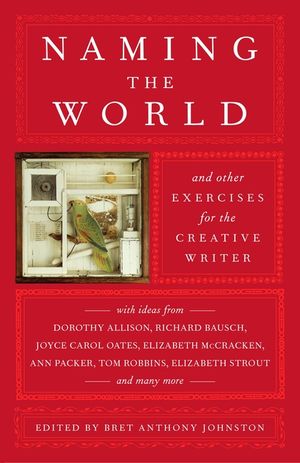 Naming the World: And Other Exercises for the Creative Writer image number 0