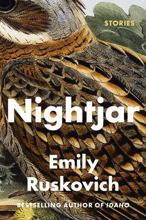 Nightjar: Stories image number 0