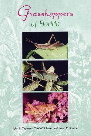 Grasshoppers of Florida image number 0