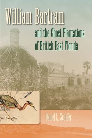 William Bartram and the Ghost Plantations of British East Florida image number 0