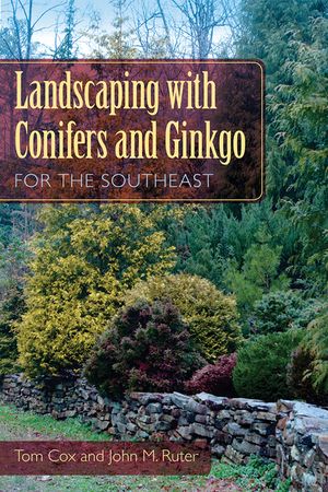 Landscaping with Conifers and Ginkgo for the Southeast image number 0