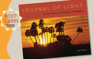 Postcards from Journal of Light image number 0