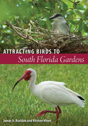 Attracting Birds to South Florida Gardens image number 0