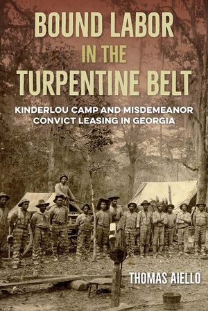 Bound Labor in the Turpentine Belt: Kinderlou Camp and Misdemeanor Convict Leasing in Georgia image number 0