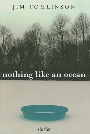 Nothing Like an Ocean: Stories image number 0