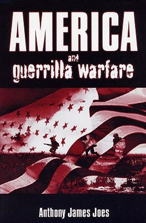 America and Guerilla Warfare image number 0
