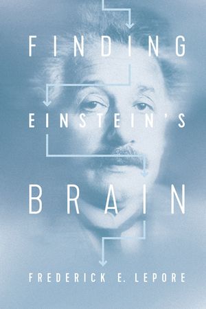Finding Einstein's Brain image number 0