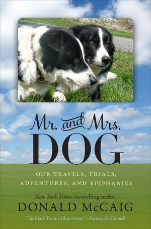 Mr. and Mrs. Dog: Our Travels, Trials, Adventures, and Epiphanies image number 0