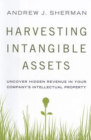 Harvesting Intangible Assets: Uncover Hidden Revenue in Your Company's Intellectual Property image number 0