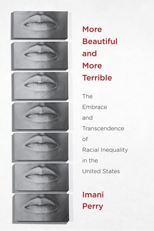 More Beautiful and More Terrible: The Embrace and Transcendence of Racial Inequality in the United States image number 0