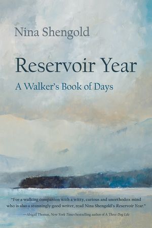 Reservoir Year: A Walker's Book of Days image number 0