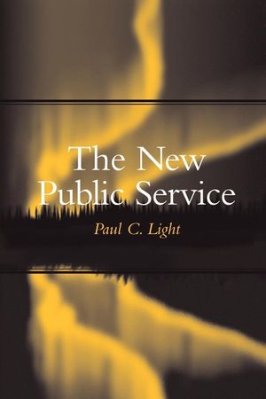 The New Public Service image number 0