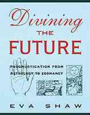 Divining the Future image number 0