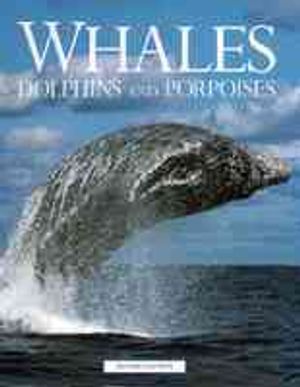 Whales, Dolphins and Porpoises image number 0