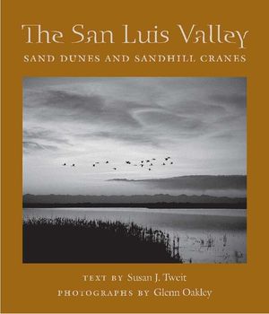 The San Luis Valley: Sand Dunes and Sandhill Cranes image number 0