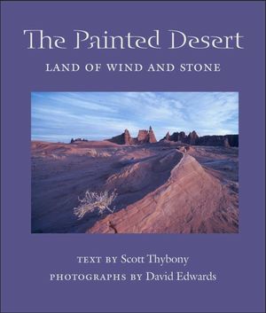 The Painted Desert: Land of Wind and Stone image number 0