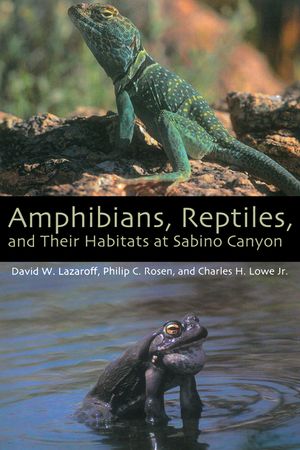 Amphibians, Reptiles, and Their Habitats at Sabino Canyon image number 0