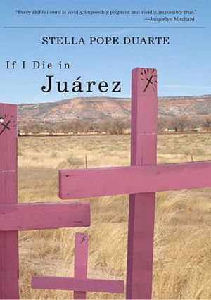 If I Die in Juarez image number 0