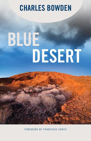 Blue Desert image number 0