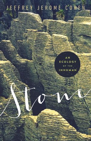 Stone: An Ecology of the Inhuman image number 0