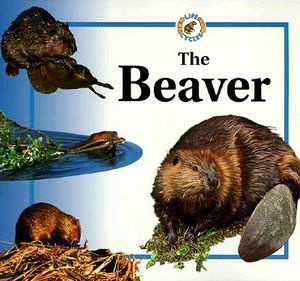 Beaver Life Cycles image number 0
