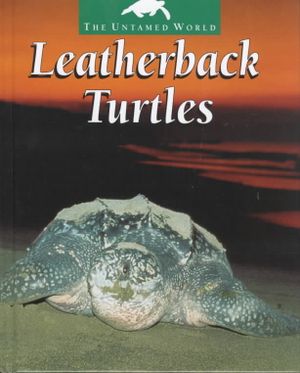 Leatherback Turtles image number 0