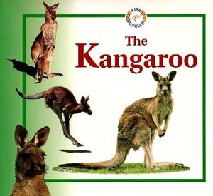 The Kangaroo image number 0