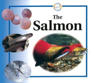 The Salmon image number 0