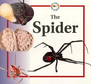 The Spider image number 0