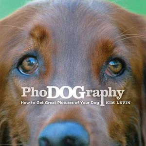 Phodography: How to Get Great Pictures of Your Dog image number 0
