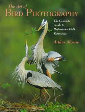 Art of Bird Photography image number 0