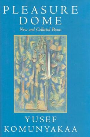Pleasure Dome: A Dance History Reader image number 0