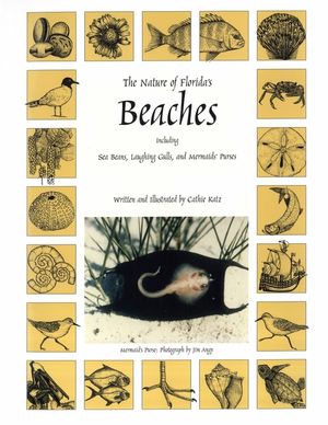 The Nature of Florida's Beaches: Including Sea Beans, Laughing Gulls and Mermaids' Purses image number 0