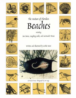 The Nature of Florida's Beaches: Including Sea Beans, Laughing Gulls and Mermaids' Purses image number 0