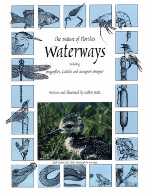The Nature of Florida's Waterways: Including Dragonflies, Cattails, and Mangrove Snapper image number 0
