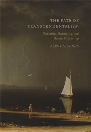 Fate of Transcendentalism: Secularity, Materiality, and Human Flourishing image number 0