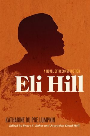 Eli Hill: A Novel of Reconstruction image number 0