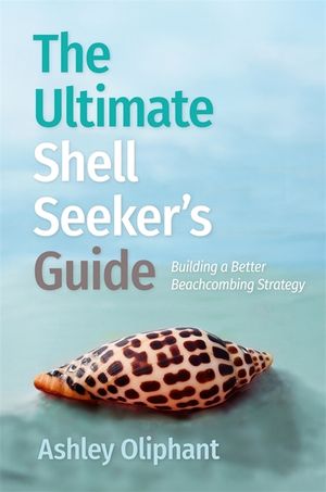 The Ultimate Shell Seeker's Guide: Building a Better Beachcombing Strategy image number 0