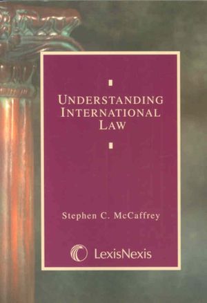 Understanding International Law image number 0