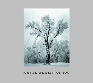 Ansel Adams at 100 image number 0