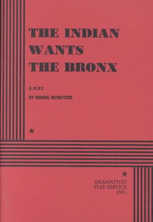 The Indian Wants the Bronx image number 0